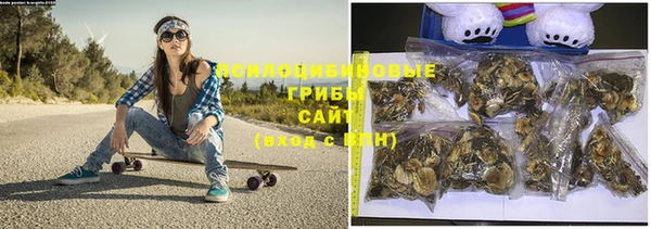 гашик Семёнов