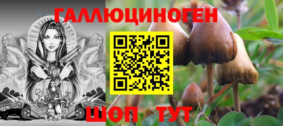 Камышлов  Галлюциногенные грибы Psilocybe  Галлюциногенные грибы ЛСД  Вход с VPN 