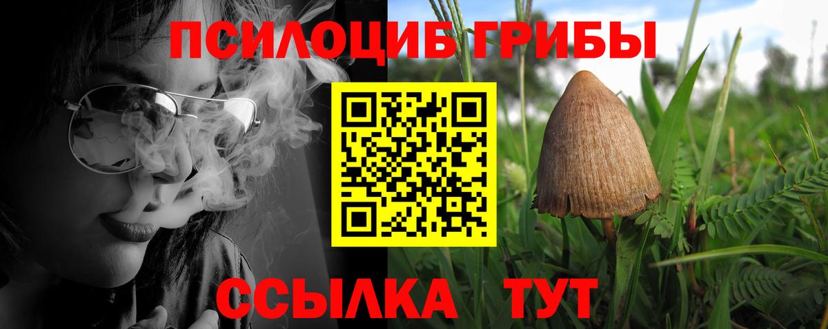 APVP СК   Кокаин  Вход с VPN  ГАШИШ  МАРИХУАНА  ЭКСТАЗИ  Камышлов  МЕФ  